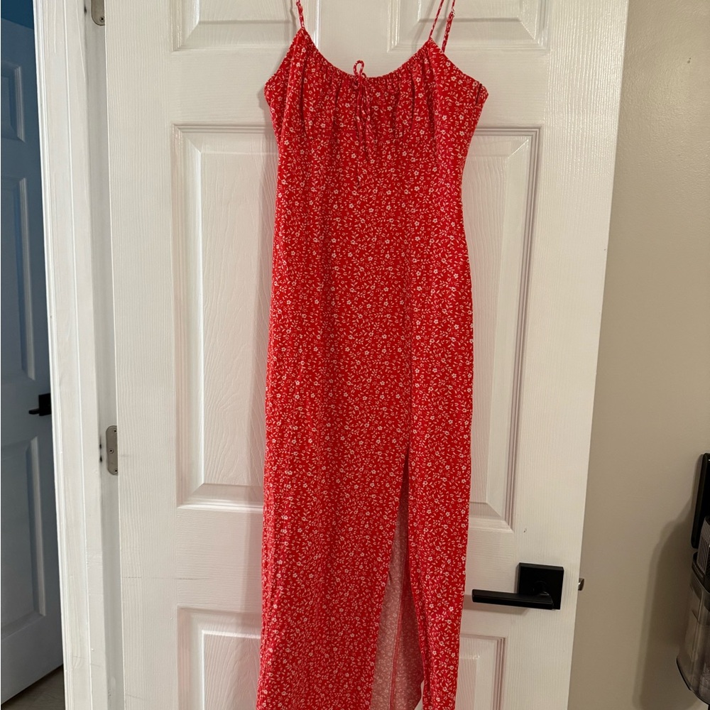 Zara Red and Pink Floral Dress
